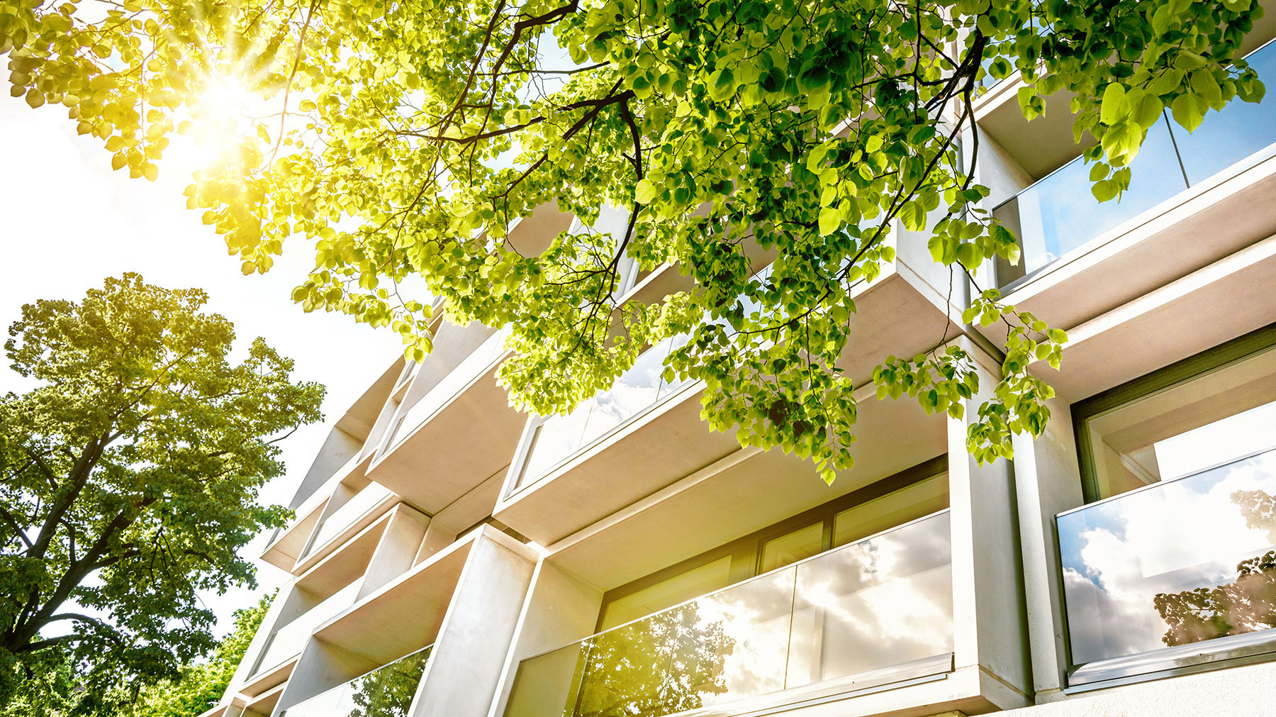 Cityside Condo cover